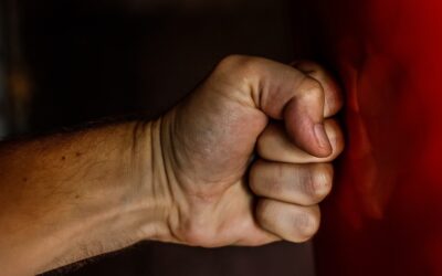 The Neglected Dimension of Verbal Violence in Politics