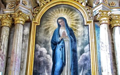 Whitaker relates the Virgin Mary to whiteness